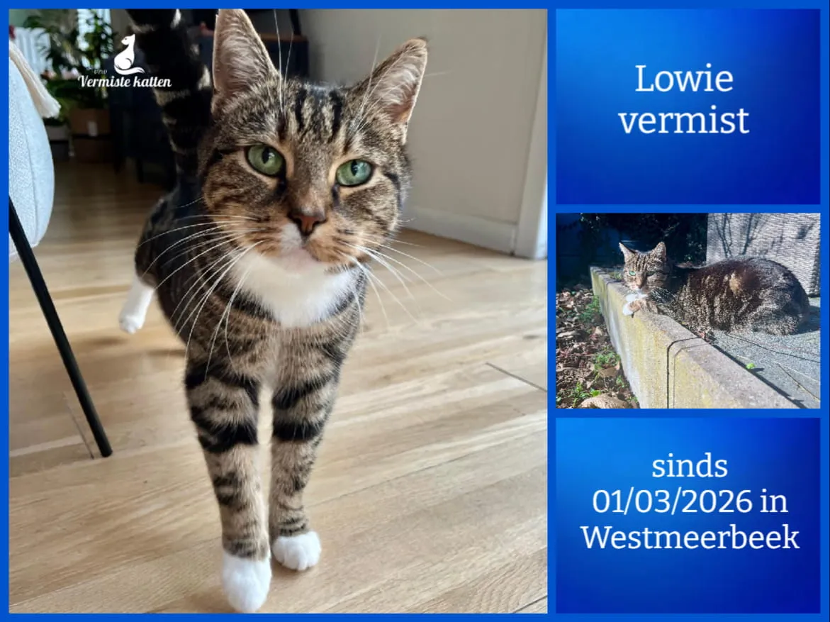 Lowie