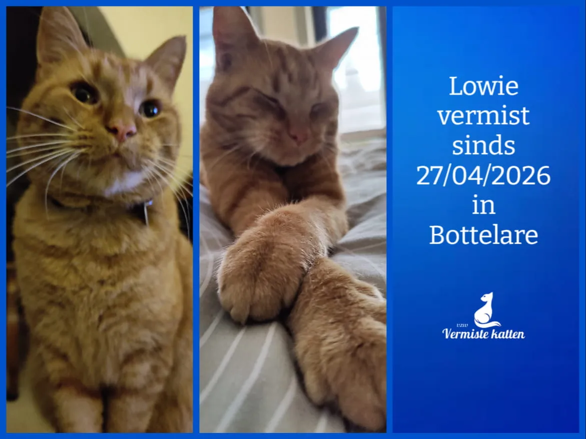 Lowie