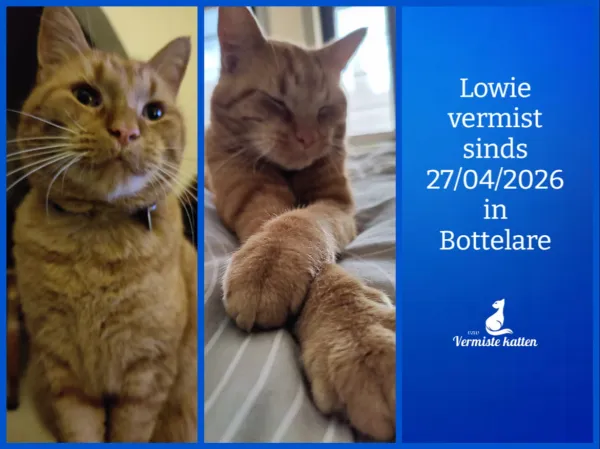 Lowie