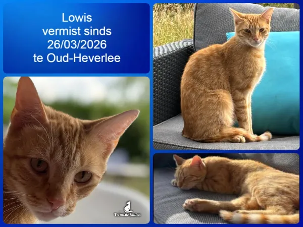 Lowis
