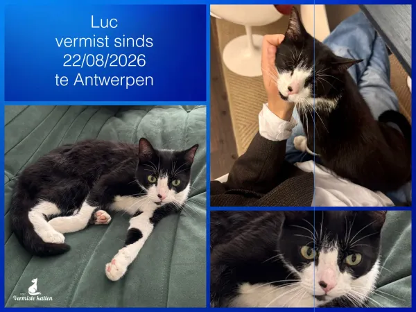 Luc