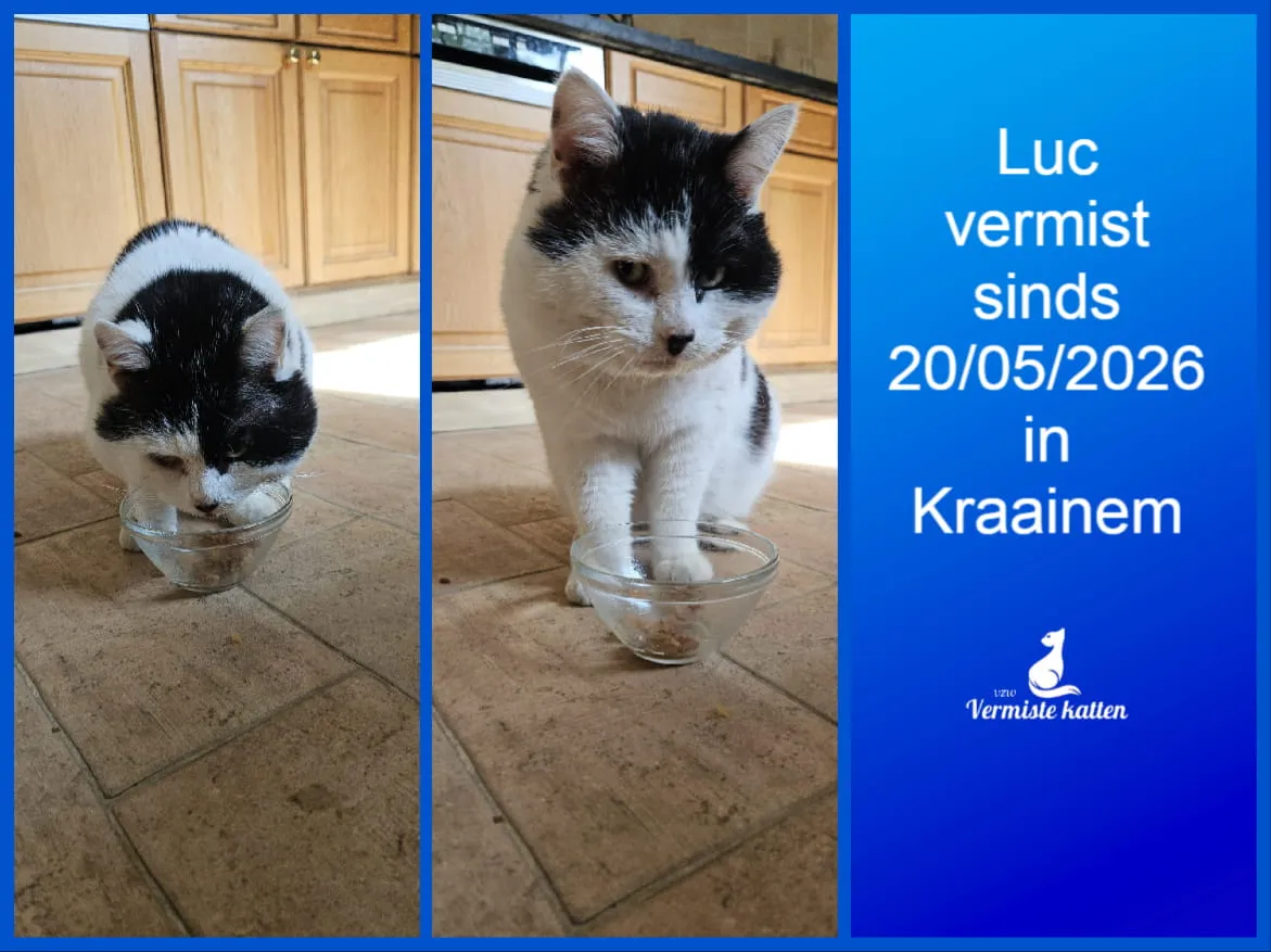 Luc