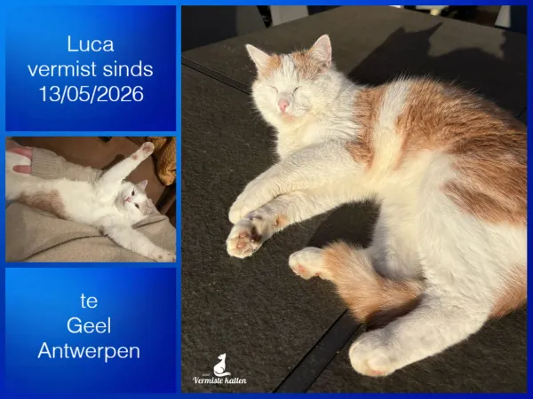 Luca
