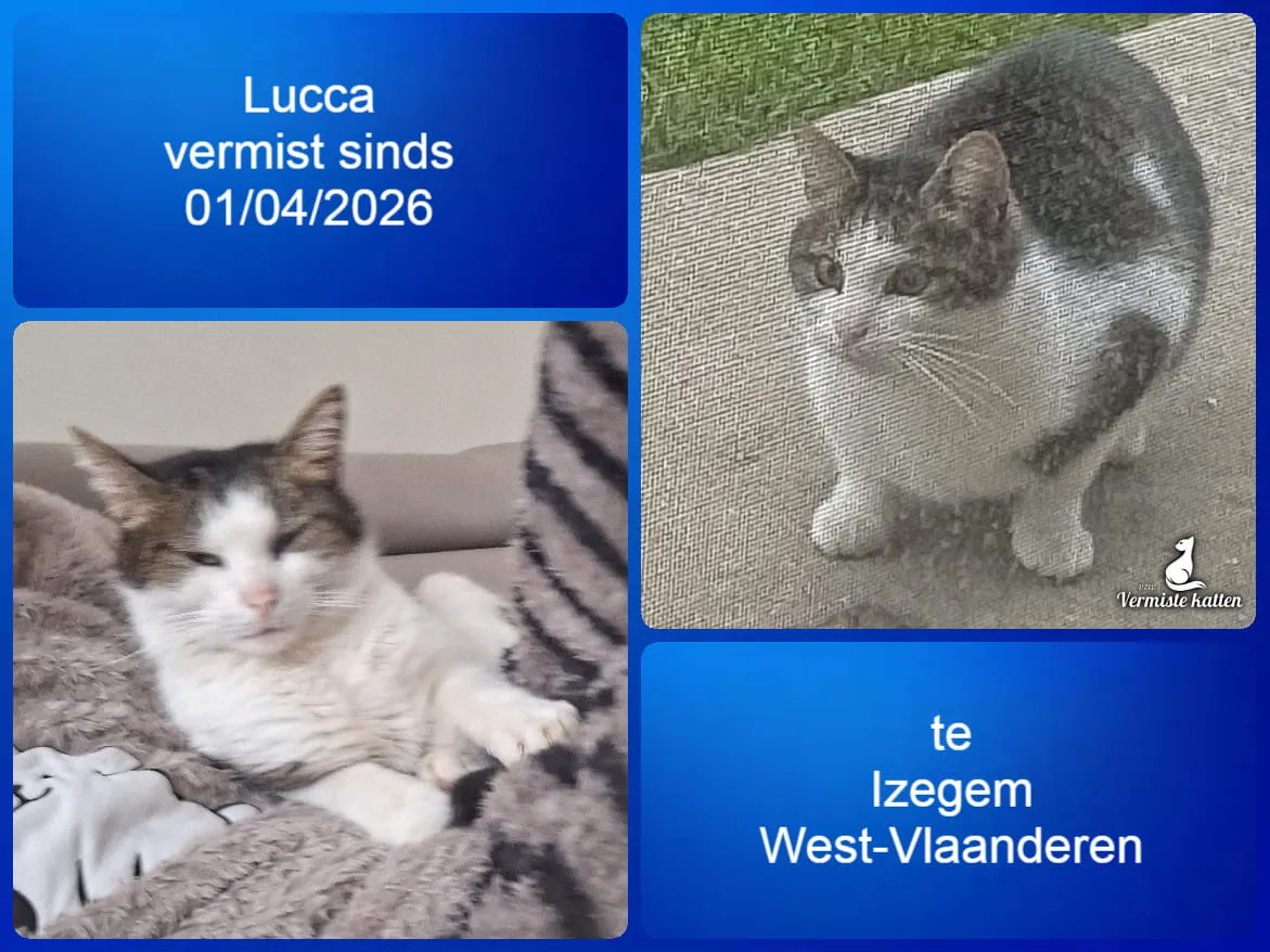 Lucca