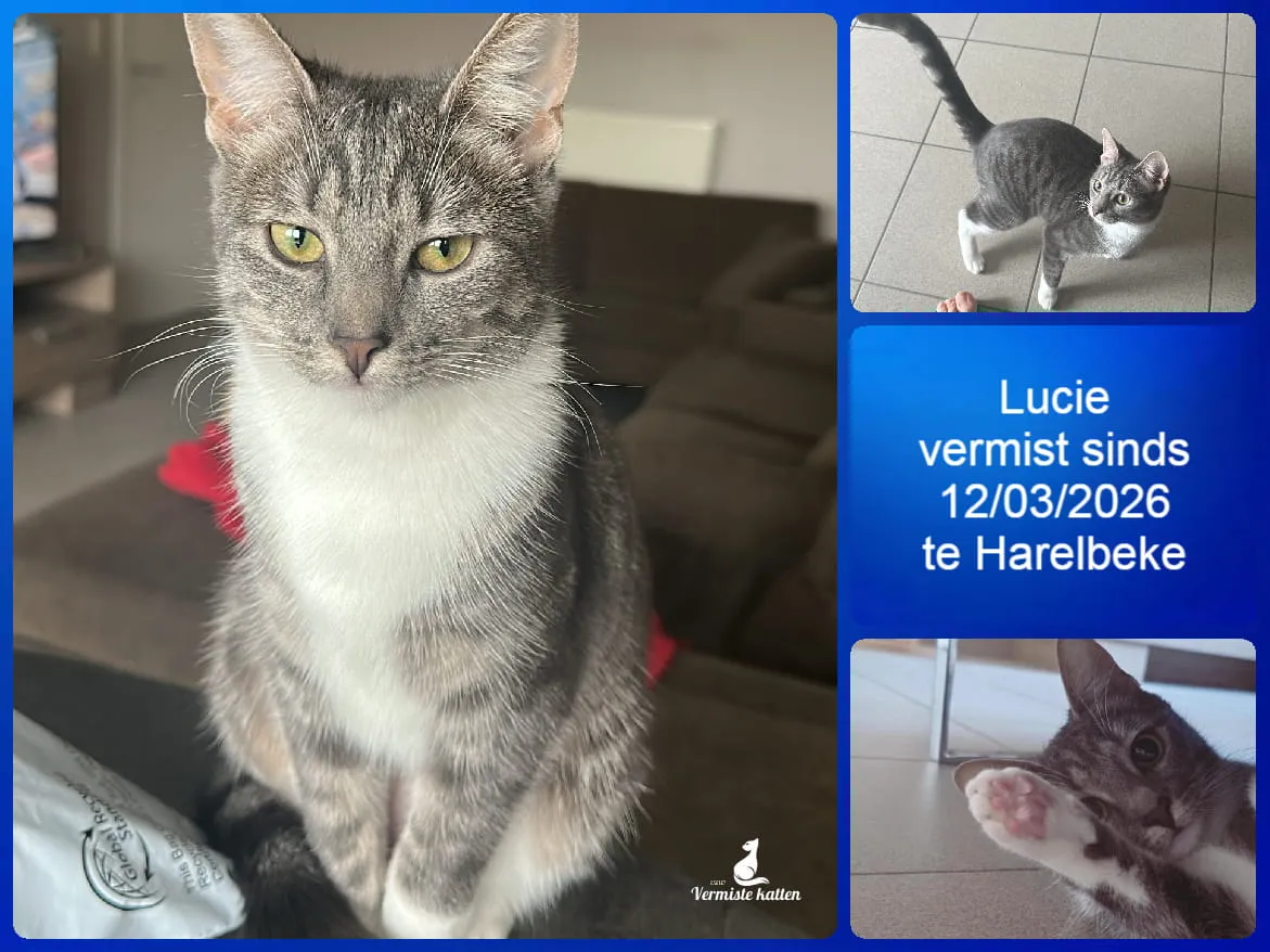 Lucie