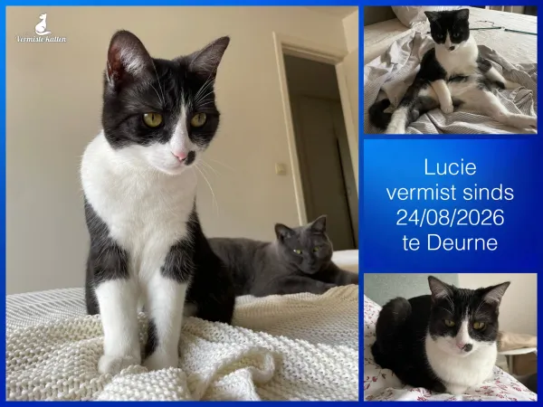 Lucie