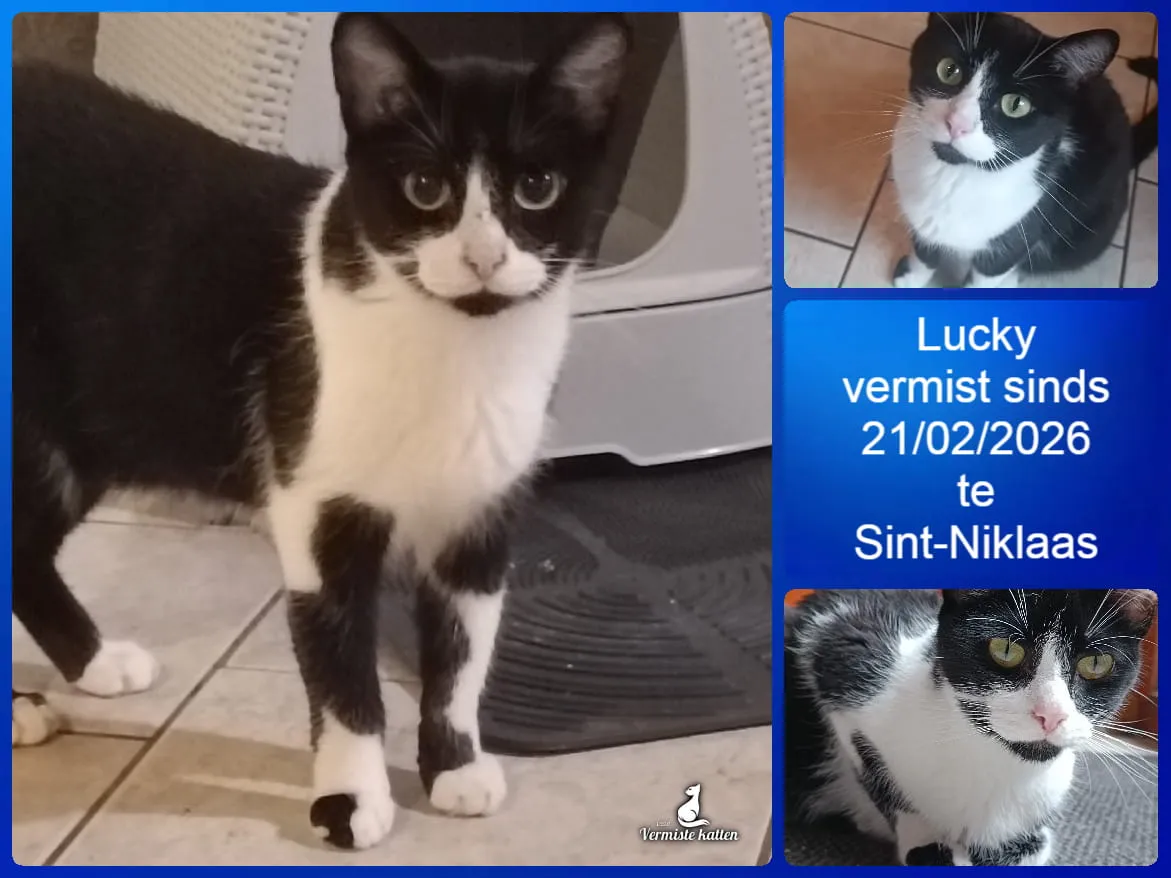 Lucky
