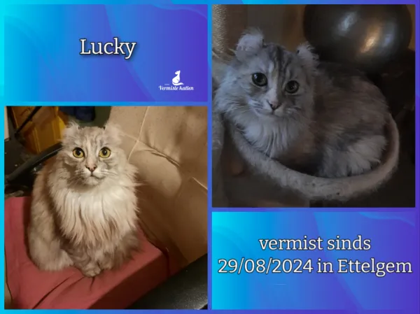 Lucky