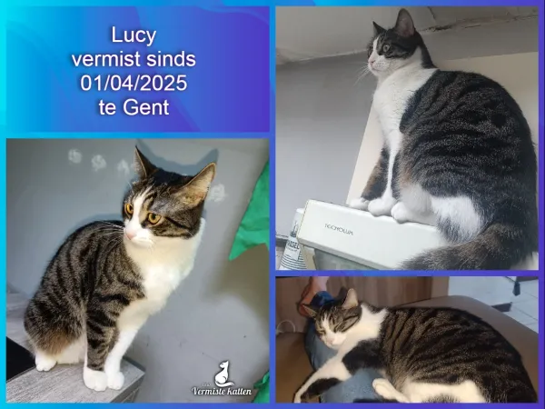 Lucy (Lucifer)