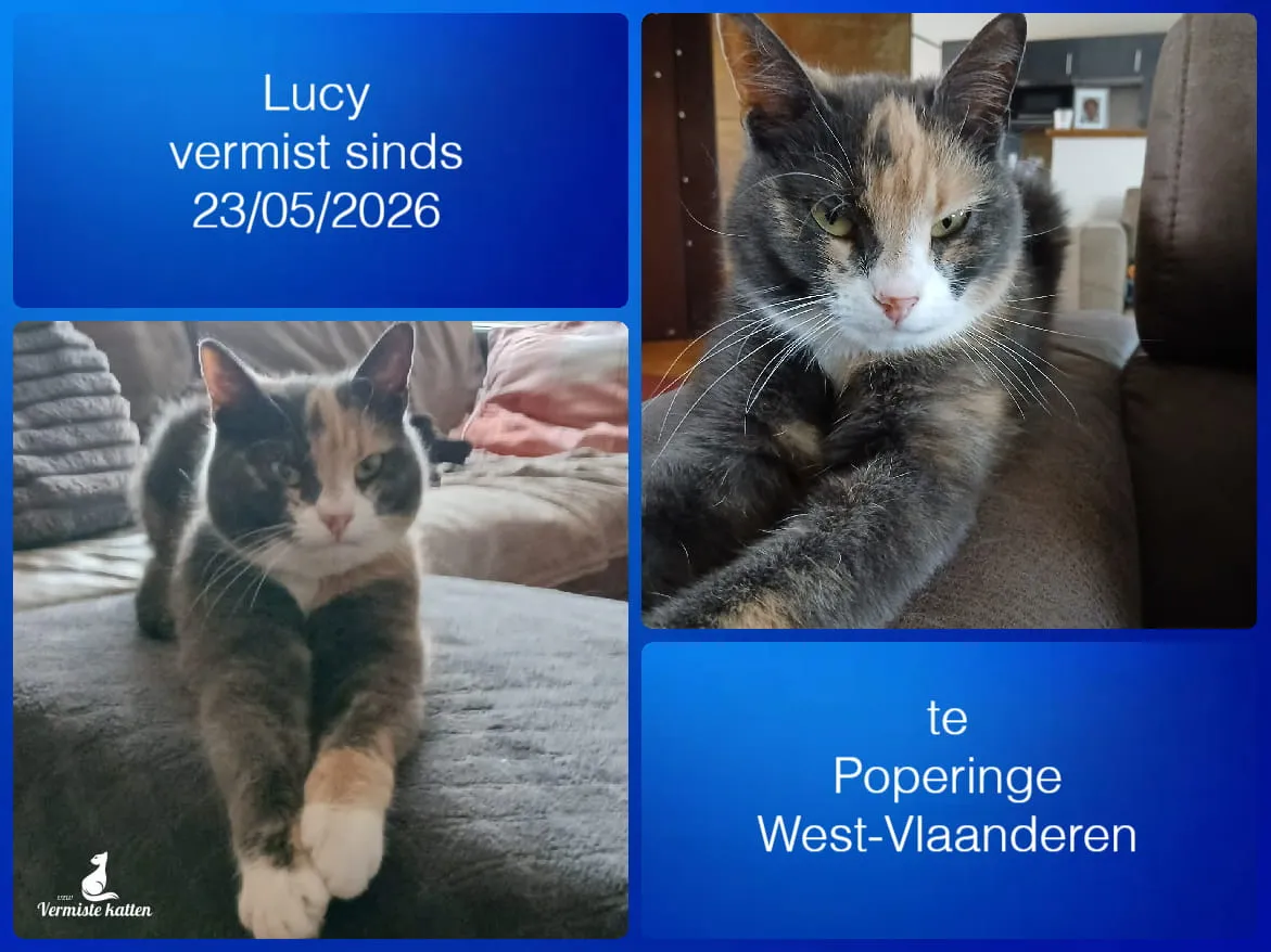 Lucy