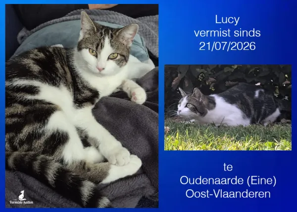 Lucy