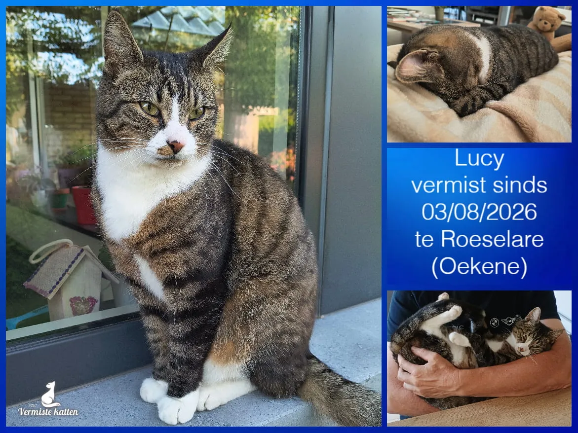 Lucy