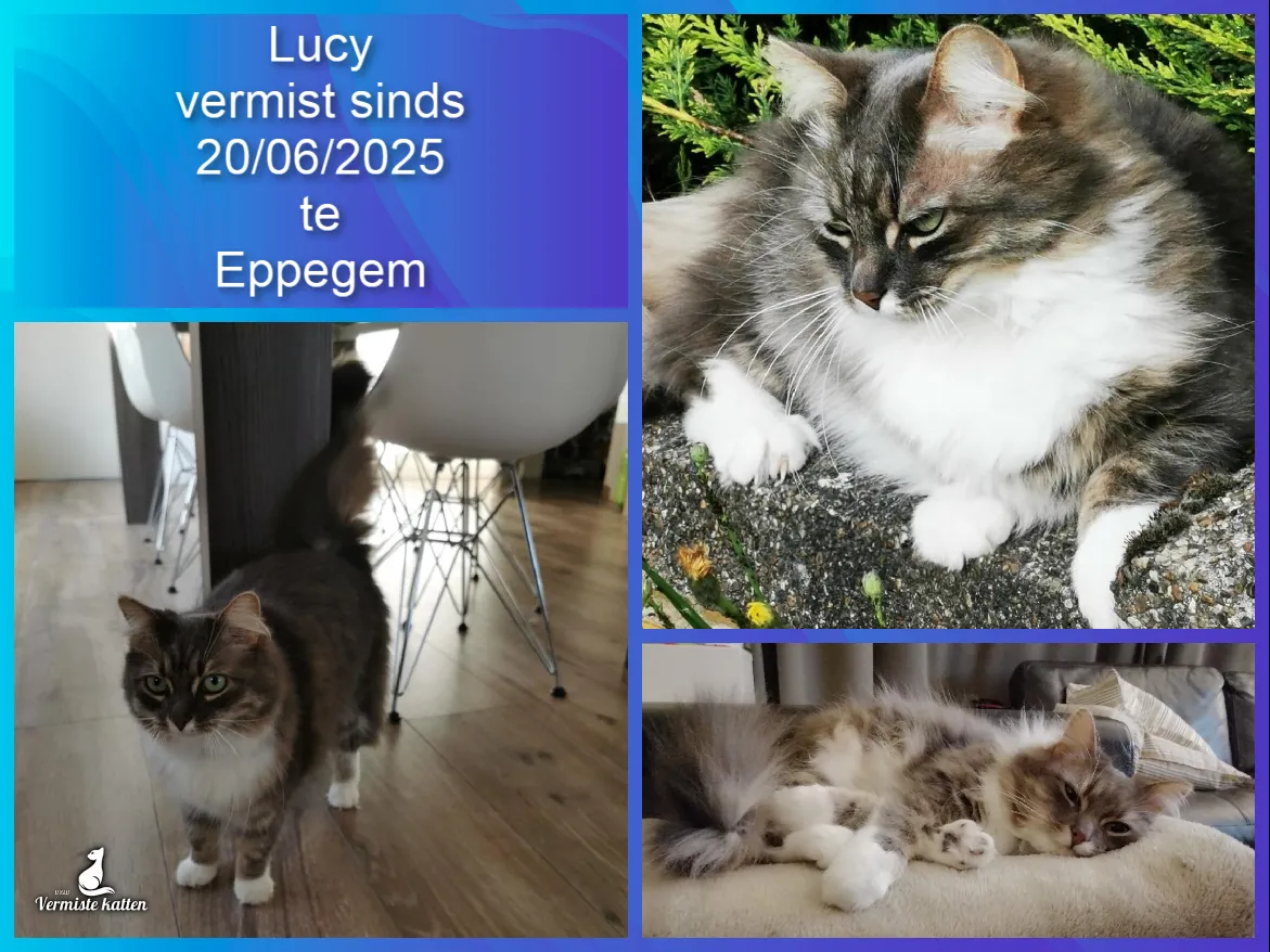 Lucy