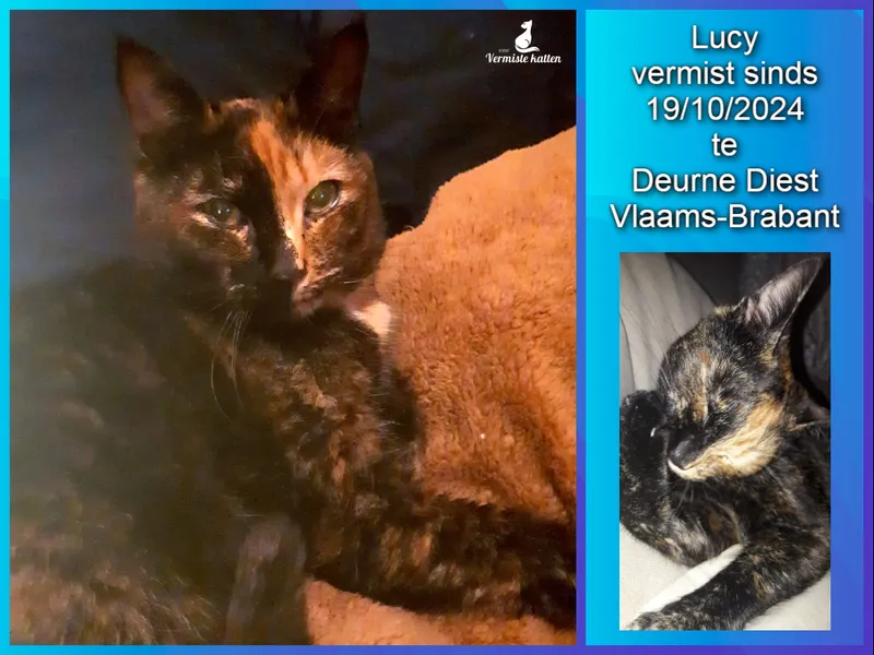 Lucy