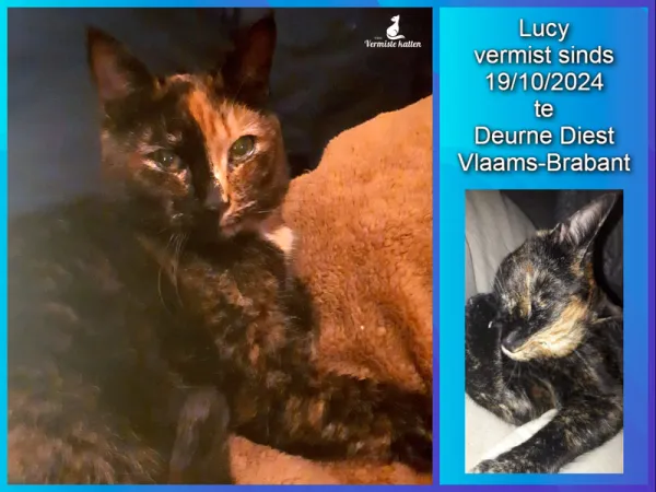 Lucy