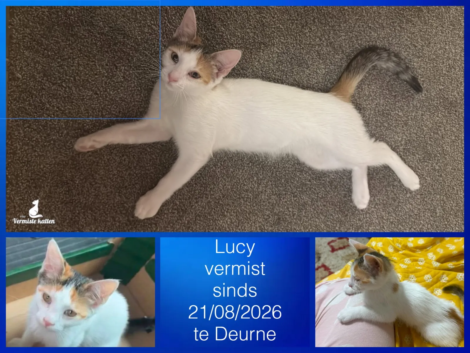Lucy