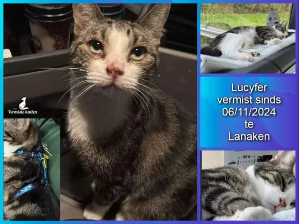 Lucyfer