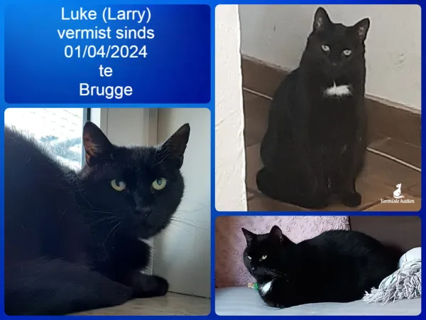 Luke (larry)