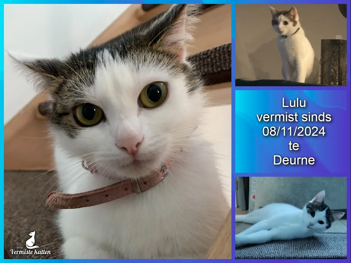 Lulu