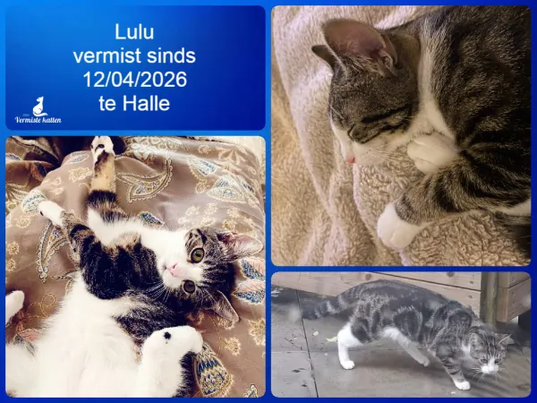 Lulu
