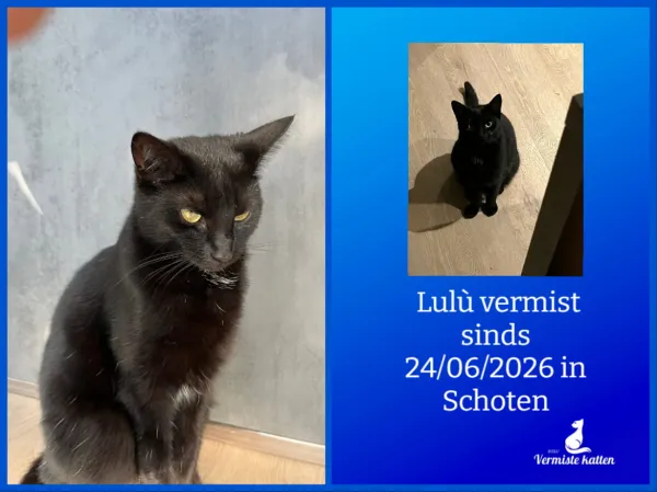 Lulù