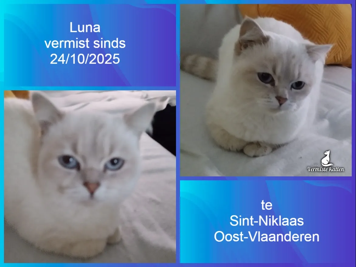 Luna