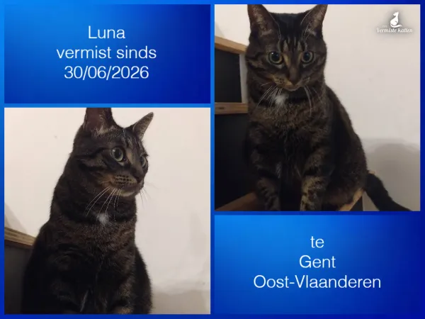 Luna