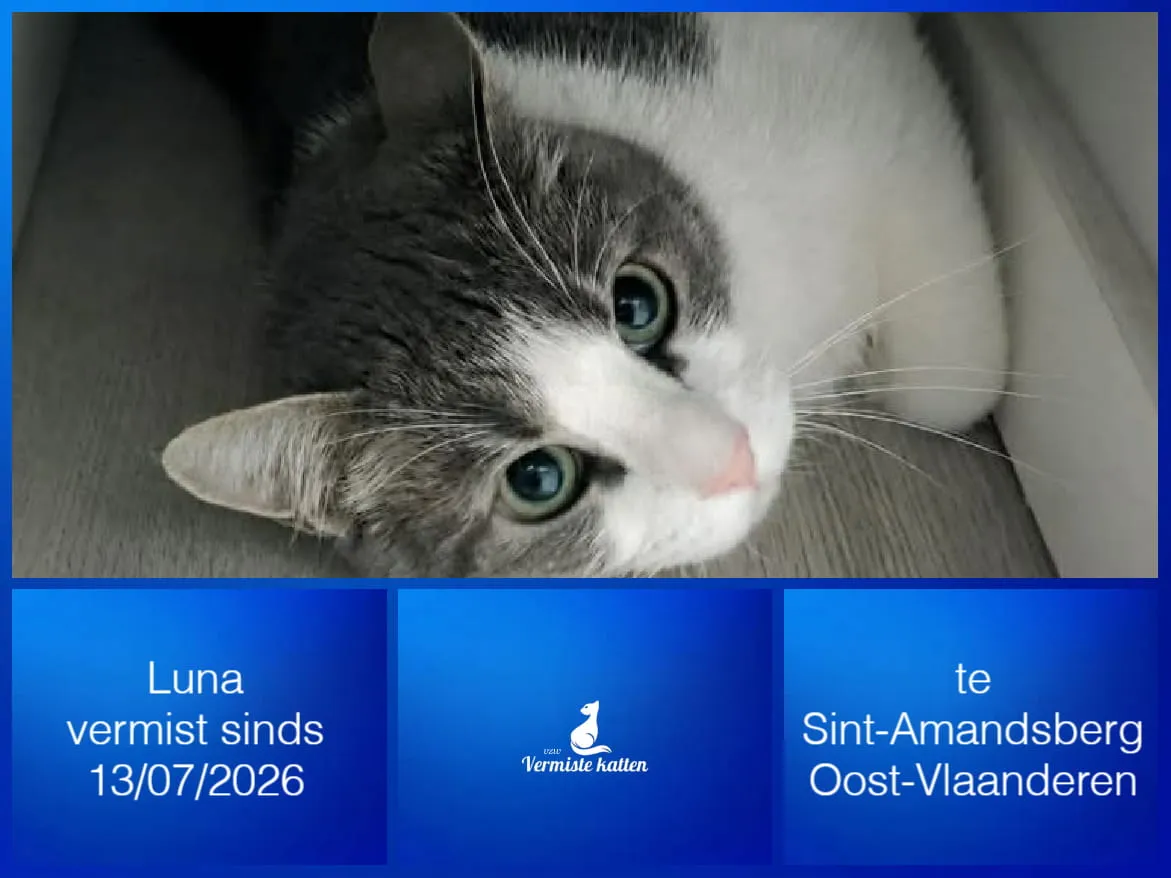 Luna