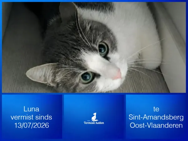Luna