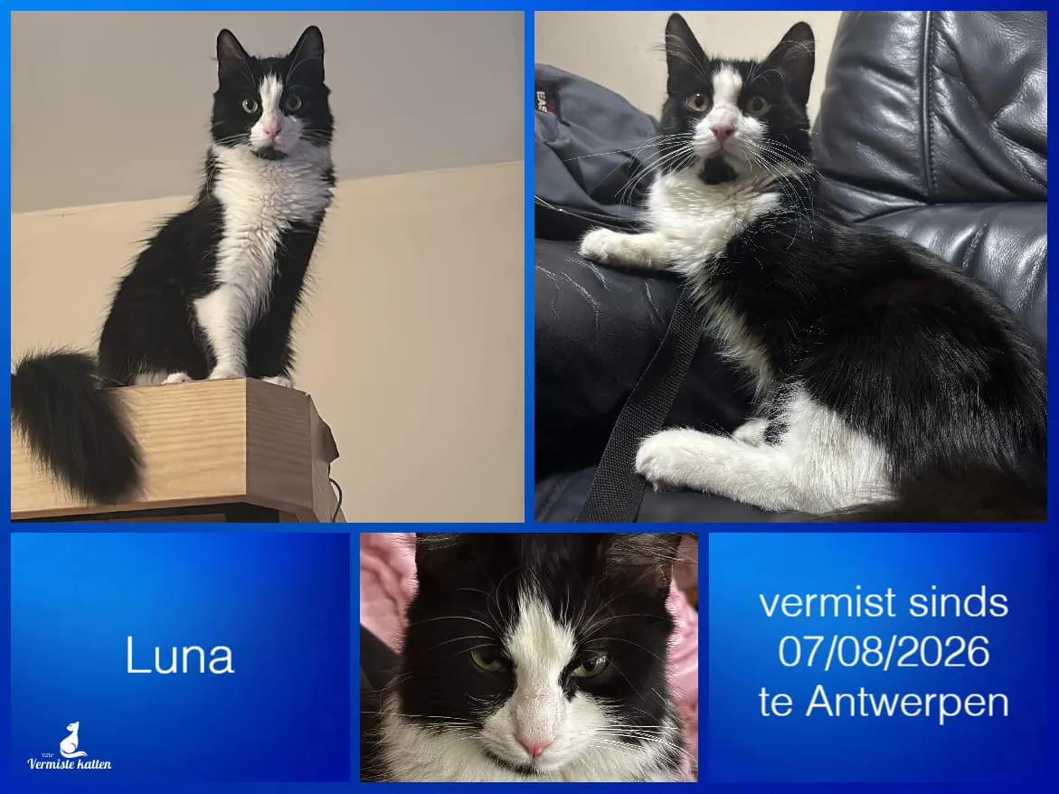 Luna