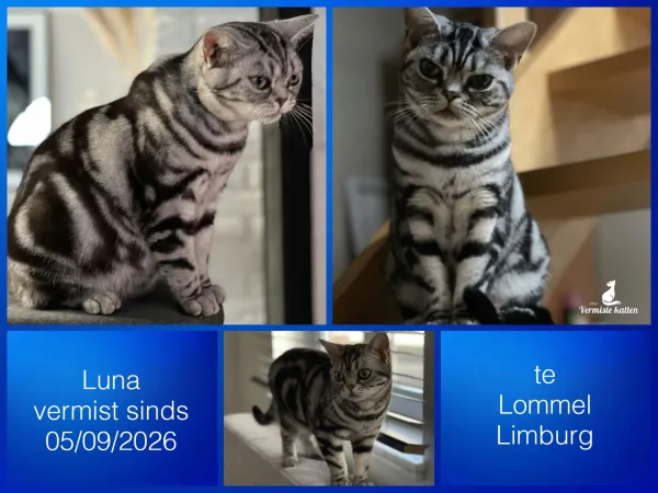 Luna