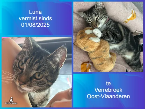 Luna