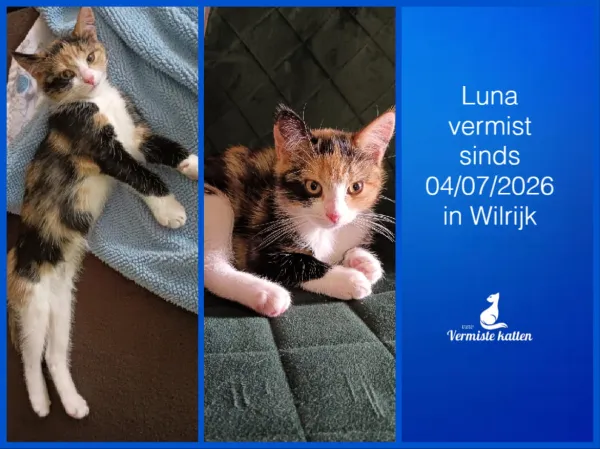 Luna