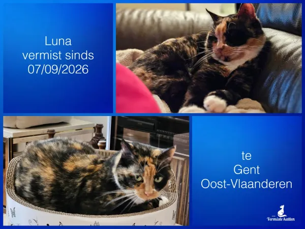 Luna