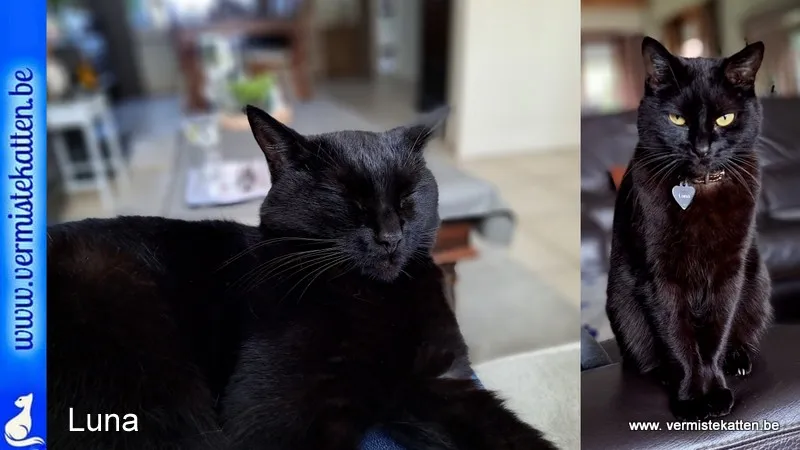 Luna