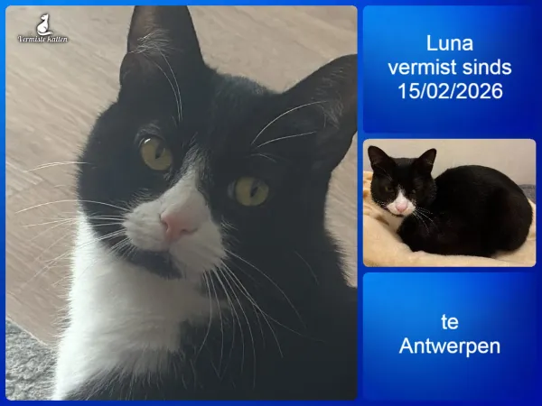 Luna