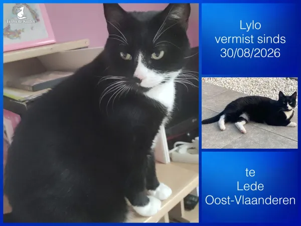 Lylo