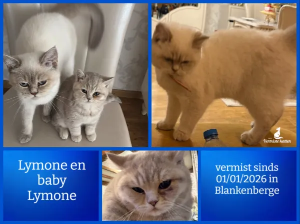 Lymone en baby Lymone