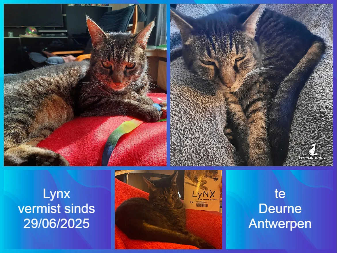 LYNX
