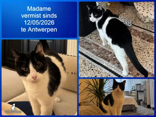 Madame