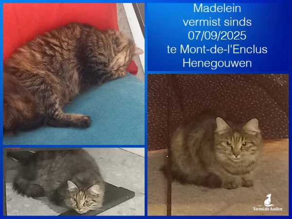 Madelein
