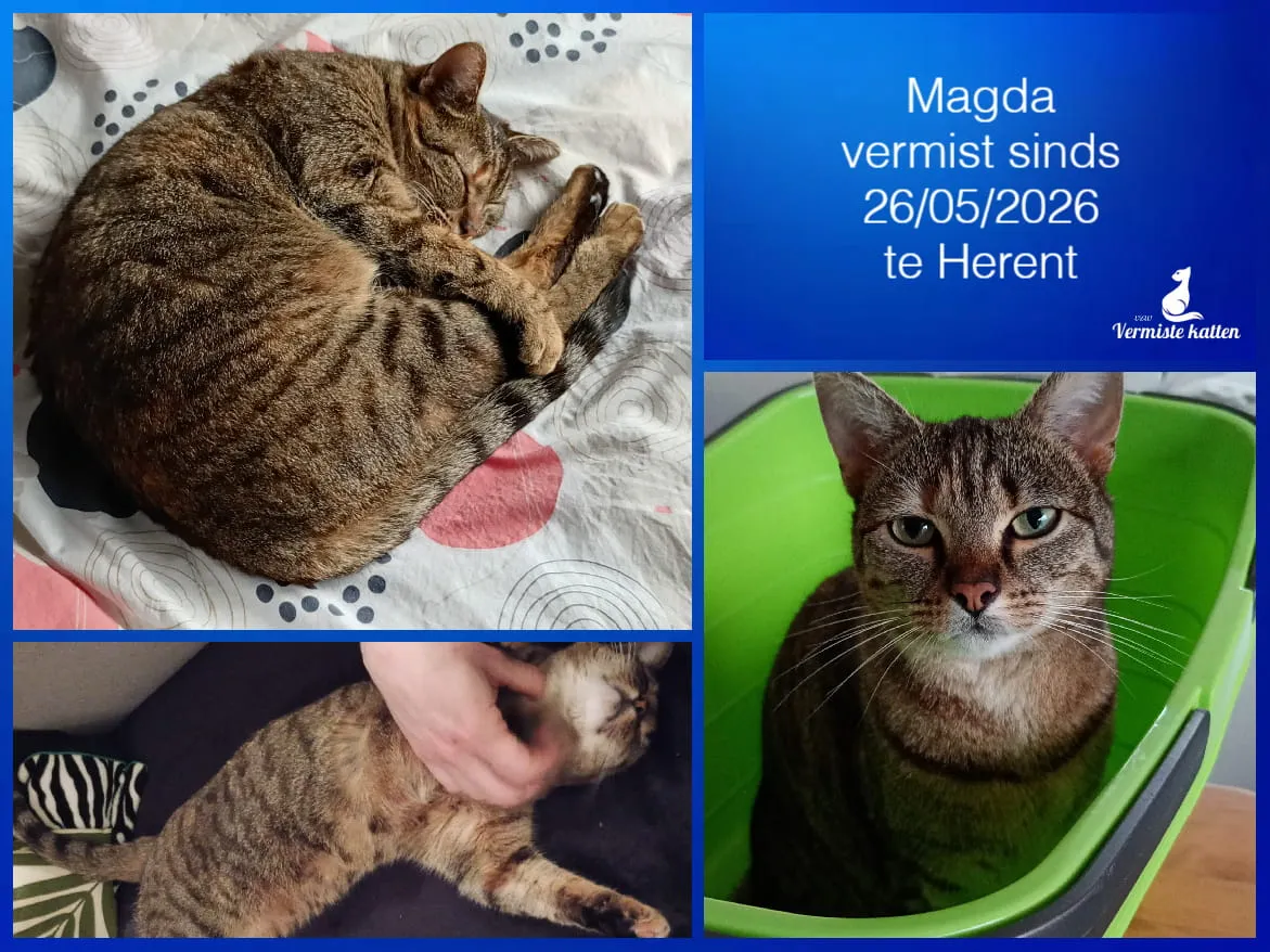 Magda