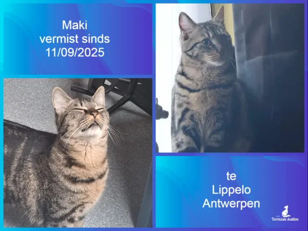 Maki