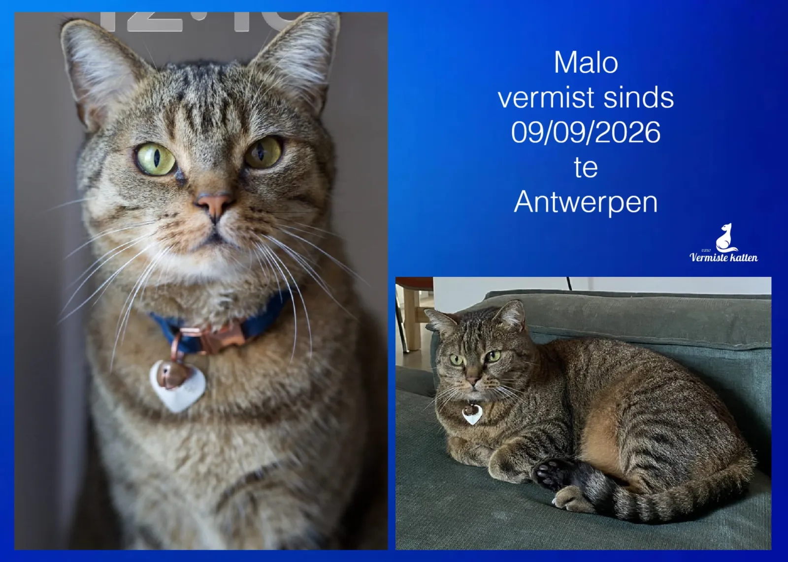 Malo