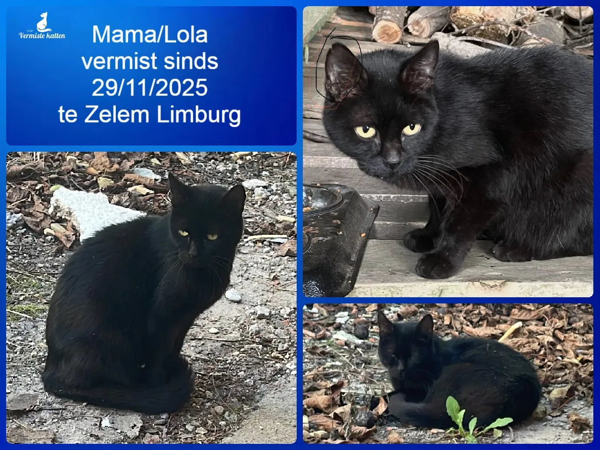 Mama/lola