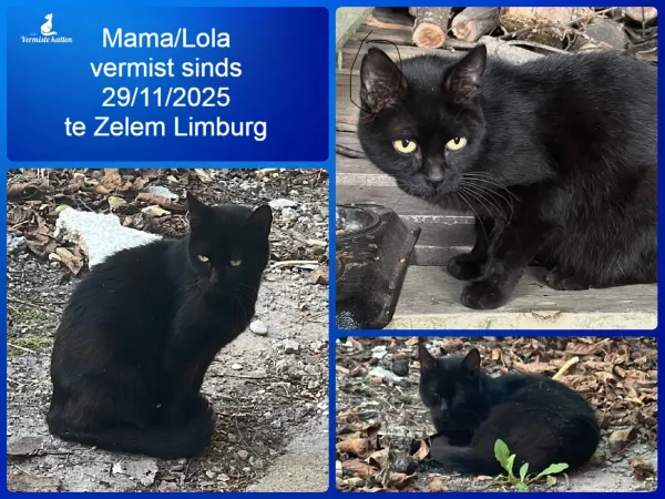 Mama/lola