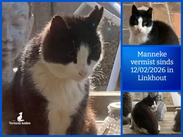 Manneke