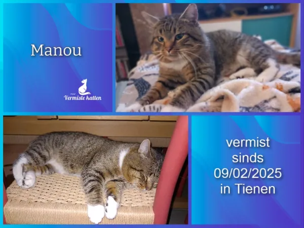 Manou