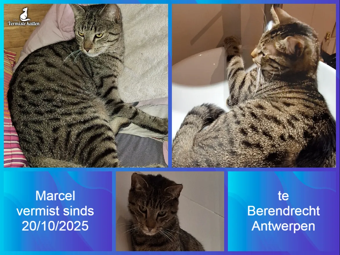 Marcel