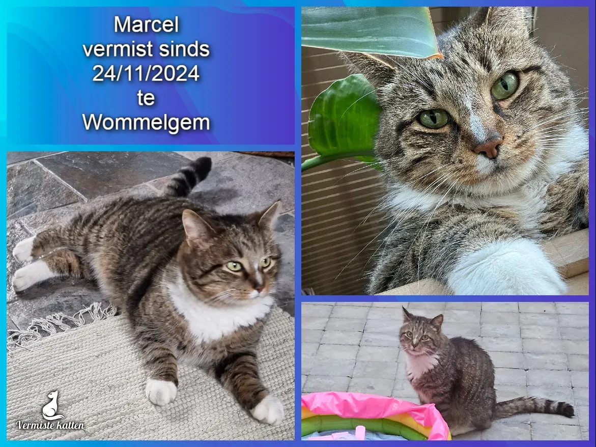Marcel